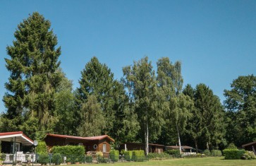 Jaarplaats Chalet