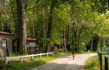 Jaarplaats Chalet