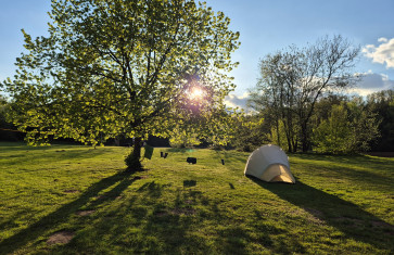 Tentenweide