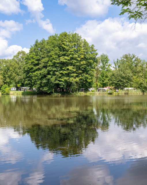 Fish pond