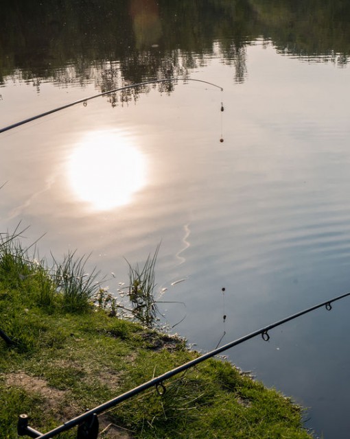 Fish pond