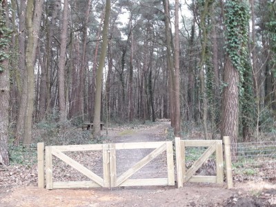 Large fenced dog paddock