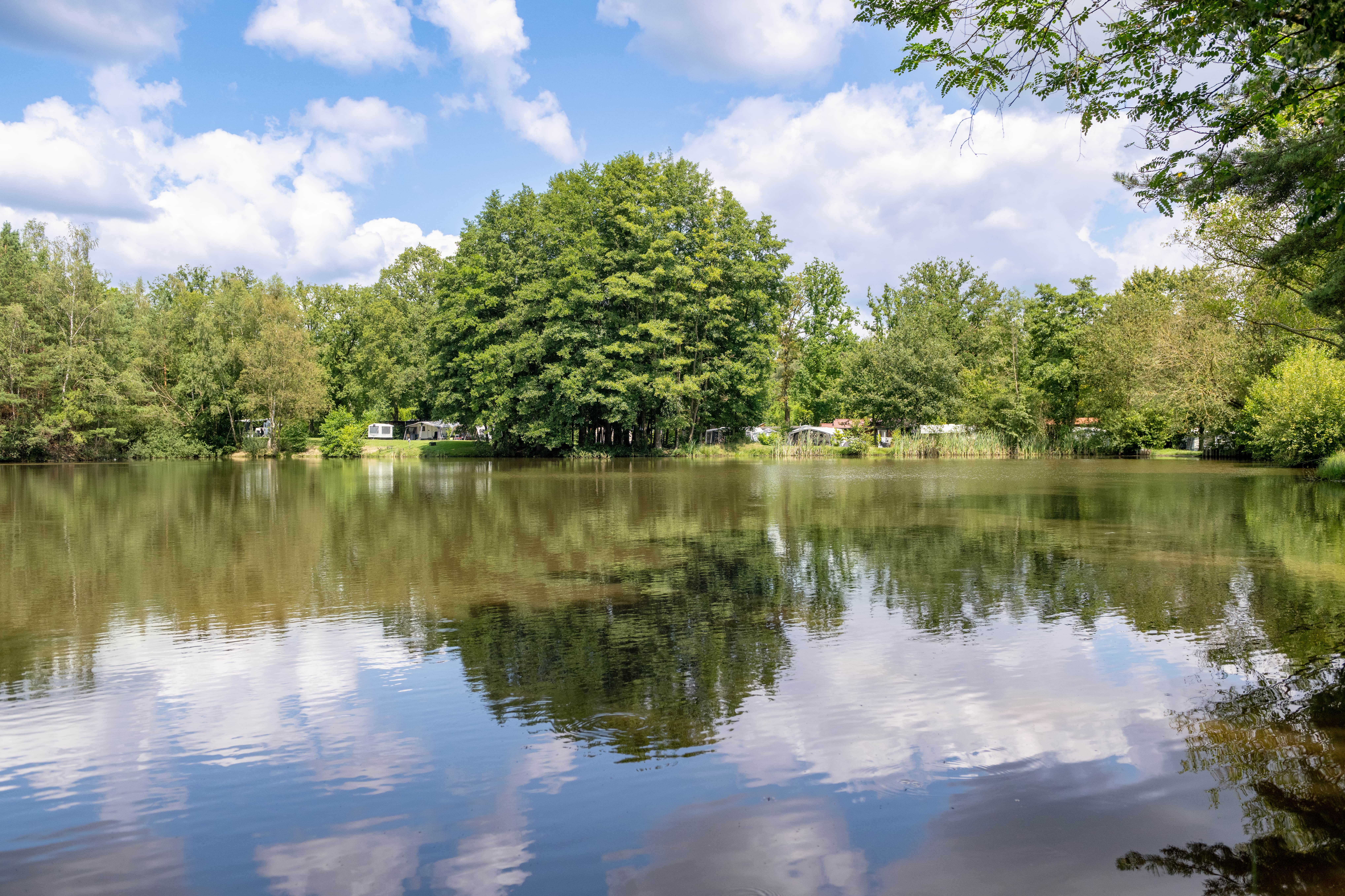 Fish pond