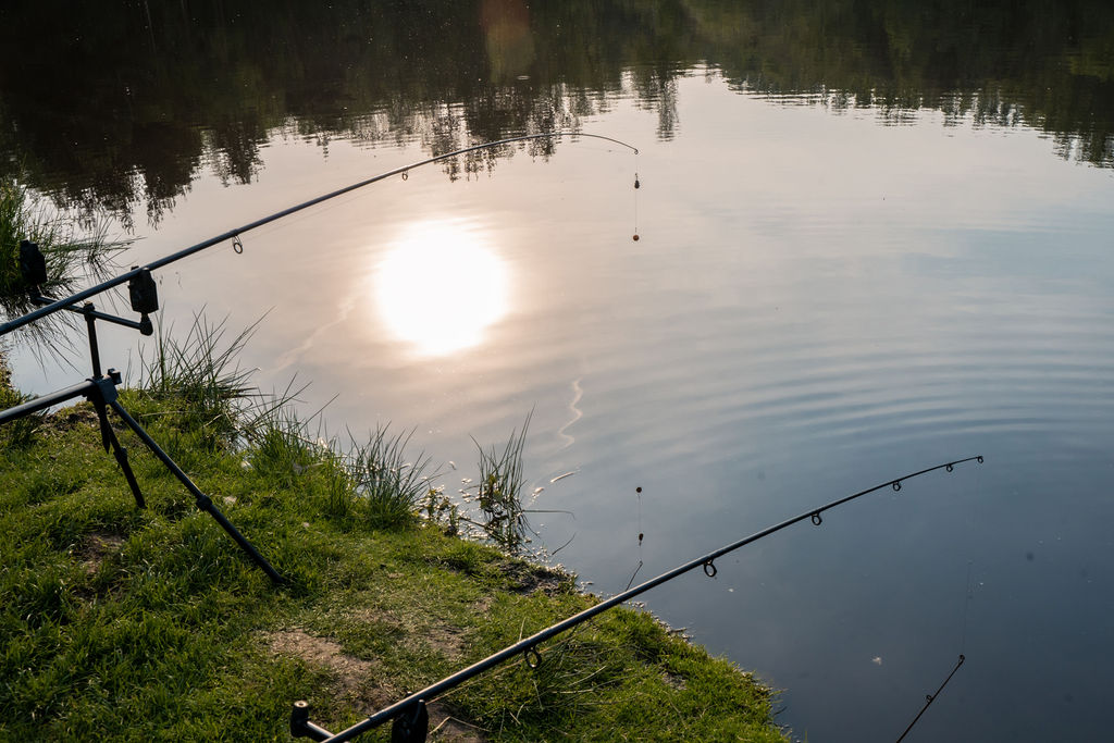 Fish pond